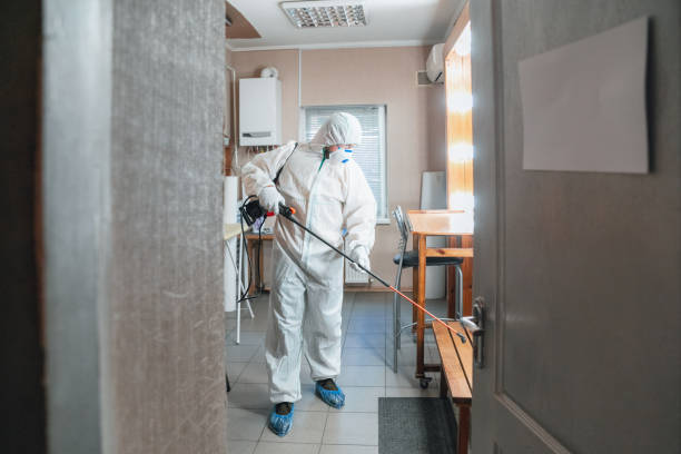  Plainfield, IL Mold Removal Pros